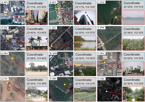 Figure 5. Google VHR remote sensing images and corresponding example field photos in GBA.
