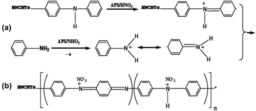 Figure 7. Scheme for preparation of core/shell PANI/MWCNT. (a) Cation radical polymerization and (b) polymerization on the surface of MWCNTs (adapted from reference [Citation119]).