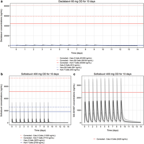 Figure 3. Comparing the simulated plasma concentration–time profiles of anti-hepatitis B drugs (n = 1000) with their in vitro IC50 against SARS-CoV-2. (A) Simulated plasma concentrations of daclatasvir were based on a published population pharmacokinetic model of daclatasvir [Citation37] and compared with its IC50 in different cell lines [Citation18]. Daclatasvir was assumed to be 99% bound to plasma proteins. Simulated plasma concentrations of sofosbuvir (B) and its major metabolite, GS-331007 (C) were based on the population pharmacokinetic drug-metabolite model [Citation41] and compared with their in vitro IC50 in different cell lines [Citation18]. Sofosbuvir and GS-331007 was assumed to be 65% and 0% bound to plasma proteins, respectively. Solid black lines represent the mean population plasma concentration–time profiles, the shaded area represents the 90% prediction interval of the simulated concentrations, blue lines represent uncorrected in vitro IC50 values, and red lines represent in vitro IC50 values corrected for plasma protein binding.