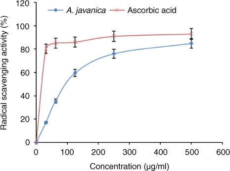 Fig. 3 DPPH radical-scavenging activity of different concentrations (31.25–500 µg/ml) of total ethanolic extract of A. javanica and standard antioxidant (ascorbic acid).