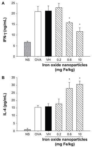 Figure 4 Differential effects of iron oxide nanoparticles on the production of antigen-specific interferon-γ and interleukin-4 by splenocytes. Splenocytes isolated from each group of mice were cultured in the presence of ovalbumin (50 μg/mL) for 72 hours, and the supernatants were collected for measurement of (A) interferon-γ and (B) interleukin-4 by enzyme-linked immunosorbent assay.Note: Data are expressed as the mean ± standard error of six samples pooled from two experiments; *P < 0.05 compared to the vehicle-treated group.Abbreviations: Fe, iron; NS, nonsensitized group; OVA, untreated ovalbumin-sensitized and challenged group; VH, vehicle-treated plus ovalbumin-sensitized and challenged group.