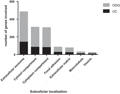 Figure 5. Gene Ontology (GO) analysis of EVs. Comparison between UC and ODG samples in term of number of genes identified for different GO terms.