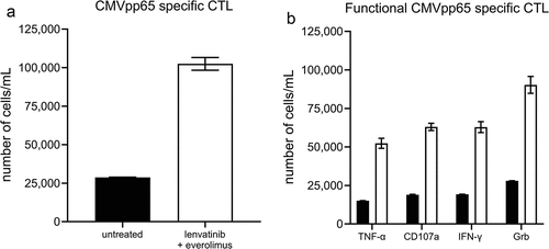 Figure 6. Expansion of CMVpp65-specific CTL after coculture with CMVpp65 antigen-loaded DC and lenvatinib plus everolimus. (a) The number of CMVpp65-specific CTL after 10 days coculture with CMVpp65 antigen-loadedantigen loaded DC (untreated, black bar) or cocultured with the combination of lenvatinib plus everolimus (white bar) was determined by flow cytometry using Trucount tubes to report the number of CMVpp65-specific CTL cells/mL. (b) Day 10 CTL were then restimulated with CMVpp65 antigen-loaded DC for an additional 4 hrs to measure cytokine production and Grb expression without the addition of lenvatinib plus everolimus (black bars) or with lenvatinib plus everolimus (white bars). The number of functional CMVpp65-specific CTL expressing TNF-α, CD107a, IFN-γ, or Grb after 4-hr stimulation was measured by flow cytometry using Trucount tubes to report the number of cells/mL. The data shown are from one of four representative donors with similar results.