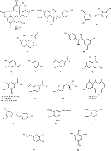 Figure 3 The structures of phenolic and phenolic acids isolated from SGB.