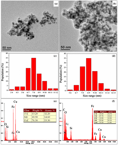 Figure 2. TEM images of (a) Fe@SiO2, (b) Fe@SiO2@PDA; size distribution histograms of (c) Fe@SiO2 and (d) Fe@SiO2@PDA; and corresponding EDS spectra of (e) Fe@SiO2 and (f) Fe@SiO2@PDA.