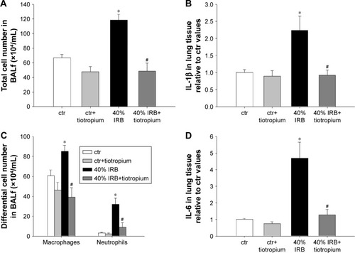 Figure 1 The effect of tiotropium bromide on lung inflammation following 40% of IRB.Notes: Tiotropium inhalation prior to 40% of IRB significantly attenuated the increase in the total cell count in BALf (A), by reducing both macrophage and neutrophil numbers (C). Tissue protein levels of IL-1β and IL-6 returned to ctr values following tiotropium inhalation (B and D, respectively). Data presented as mean ± SEM. White bar, ctr; gray bar, ctr plus tiotropium; black bar, 40% of IRB and dark gray bar, 40% of IRB plus tiotropium. *P<0.05 to ctr and #P<0.05 to 40% of IRB. n=5–8 per group.Abbreviations: IRB, inspiratory resistive breathing; BALf, bronchoalveolar lavage fluid; ctr, control; SEM, standard error of the mean.