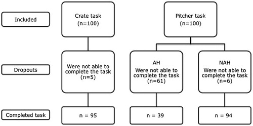 Figure 2. Schematic diagram of the number of subjects per task.