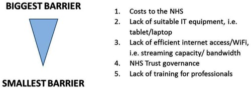 Figure 3 Professionals’ perceived barriers to internet access for young people in the NHS.