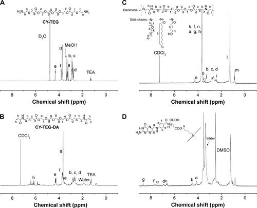 Figure S1 1H NMR spectrum analysis of (A) CY-TEG in D2O; (B) CY-TEG-DA in CDCl3; (C) CY-TEG-PEG-DDA-APT (amphiphilic poly (beta-thiopropionate)) in CDCl3; and (D) FA conjugated CY-TEG-PEG-DDA-APT (amphiphilic poly (beta-thiopropionate) in DMSO-d6.Abbreviations: NMR, nuclear magnetic resonance; TEA, trimethylamine; DMSO, dimethyl sulfoxide; CY-TEG, cysteamine capped tetra (ethylene glycol); DA, diacrylate; PEG, polyethylene glycol; DDA, dodecylamine; APT, 5-aminopentanol; FA, folic acid; MeOH, methanol; CY-TEG-PEG-DDA-APT, poly (beta-thiopropionate) amphiphilic copolymer.