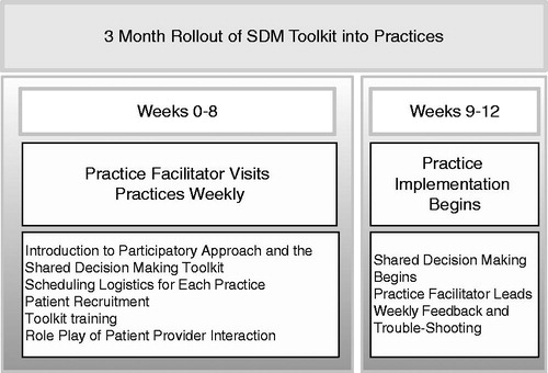 Figure 2. Roll-out plan used to guide implementation of the shared decision making intervention.