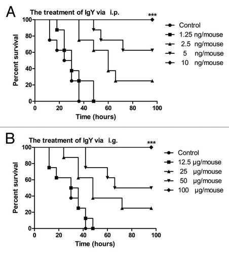 Figure 6. The protective effect of anti-BHc IgY in vivo given via different routes. (A) BoNT/B (4 × LD50/i.g.) was given via i.g. and serial IgY was administered i.p. at 1.5h after challenge. (B) BoNT/B (4 × LD50/i.p.) was given via i.p. and serial IgY was administered i.g. at 3 h before challenge. Groups of 8 mice were used at each dosage level and four-dose levels were tested per experiment as described in Materials and Methods. There was a significant difference at ***P < 0.001 and ***P < 0.001 vs. the control (log rank test).