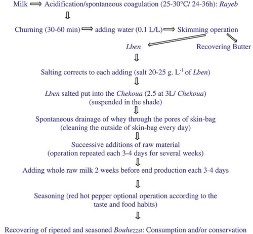 Figure 1. Diagram of traditional cheese manufacture Bouhezza made with goat’s raw milk according to the survey in Chaouia region and the process described by Medjoudj et al.[Citation7].