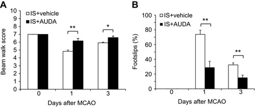 Figure 1 sEH inhibitor improved recovery of neurological function at 1 and 3 days after MCAO.