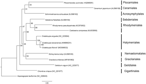 Figure 1. Phylogenetic tree (maximum-likelihood) of 14 representative Rhodymeniophycidae species based on the 22 mitochondrial protein-coding genes. Numbers along branches are RaxML bootstrap supports based on 1000 nreps. Asterisks after species names indicate newly determined mitochondrial genomes.