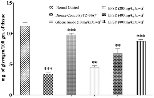Figure 3. Changes in the liver glycogen level after the treatment of EFSD in various concentrations, where plotted values are mean ± SEM of liver glycogen of normal control group, disease control (STZ + NA) group, glibenclamide treated group (10 mg/kg b.wt), EFSD (200, 400 and 800 mg/kg b.wt) treated groups, in which acomparison of disease control (STZ + NA) versus normal control, bcomparison of treated group versus disease control (STZ + NA). The level of significance: **p < 0.01; ***p < 0.001.