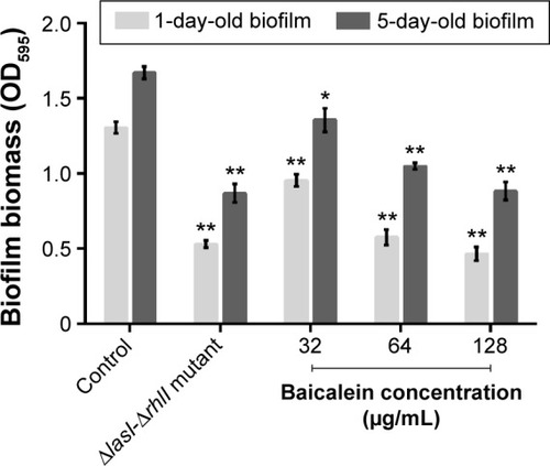 Figure 8 Effects of different concentrations of baicalein on alginate production by Pseudomonas aeruginosa.