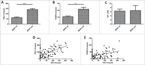 Figure 2. BRAF V600E mutation is significantly correlated with increased PDL1 and FOXP3 expression in LCH tissues (n = 97). (A) Examination of PDL1 expression by IHC using the H-score. PDL1 expression was higher in BRAF-mut patients (n = 31) as compared with BRAF-wt patients (n = 66) (p < 0.001). (B) Examination of FOXP3 expression by IHC using the H-score. FOXP3 expression was higher in BRAF-mut patients as compared with BRAF-wt patients (p = 0.009). (C) No statistical difference between BRAF mutation status and G/T ratio (p = 0.325). (D) Positive correlation between PDL1 and VE1 H-scores by IHC (p < 0.001, Pearson correlation = 0.635). (E) Positive correlation between FOXP3 and VE1 H-scores by IHC (p < 0.001, Pearson correlation = 0.429). wt = wild-type; mut = mutated; G/T ratio = GATA3+/T-bet+ ratio. An unpaired t-test was used to calculate the two-sided p-values. **p < 0.01, ***p < 0.001. Error bars represent standard deviation.