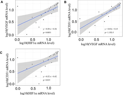 Figure 3 Scatter-plots of HIF-1α, VEGFA and CD31 mRNA levels in vascular walls after stroke. A significantly positive association between HIF1α and VEGFA mRNA levels in log10 (p=0.0051) (A), and between CD31 and VEGFA mRNA levels in log10 (p = 1.15E-5) (B), and between CD31 and HIF1α mRNA levels in log10 (p = 0.015) (C). The regression line is in blue and 95% confidence intervals are in grey shadow.