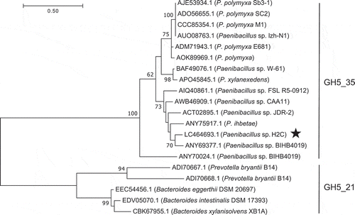 Figure 3. Phylogenetic tree of GH5_35 and GH5_21 enzymes based on maximum likelihood with 100 bootstrap replications.Xyn5A from Paenibacillus sp. H2C is marked with a star. Bootstrap values <50 are not shown.