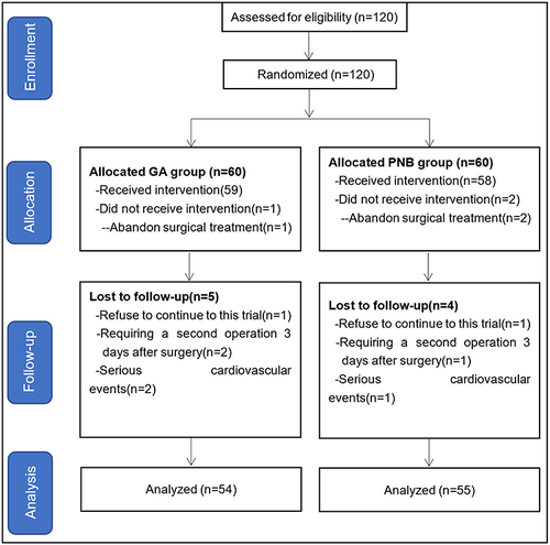 Figure 1 Consort flow of clinical procedures.