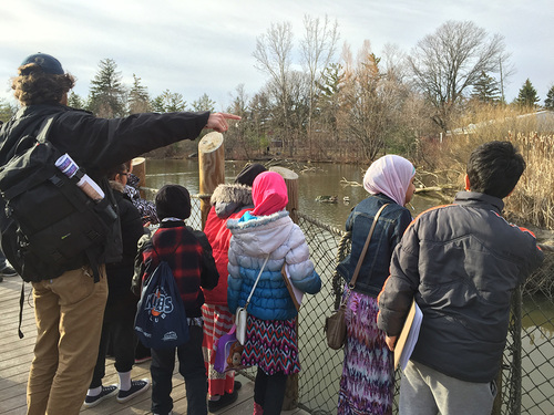 Find out how the Detroit Zoological Society partnered with local organizations to create Celebrate Urban Backyards, which engages afterschool educators and students in hands-on, inquiry-based programs and activities focused on their urban environments.