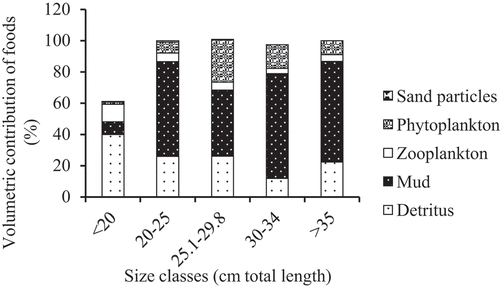 Figure 3. The size-based proportion of food items in the diet of O. niloticus in Ribb Reservoir, Ethiopia.