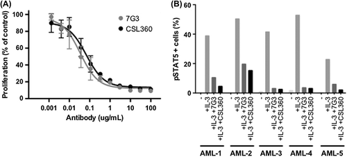Figure 1. Both CSL360 and 7G3 effectively neutralize IL-3-induced proliferation (A) and signaling (B) in primary AML cells. (A) Primary AML cells (1 × 105 cells), collected at diagnosis from non-CSL360 trial patients who provided informed consent for inclusion on another HREC-approved research study [Citation39], were cultured in RPMI/10% FCS and 10 ng/mL IL-3 in the presence of increasing concentrations of CSL360 or 7G3 for 48 h at 37°C. Cell proliferation was determined by measuring 3[H]-thymidine incorporation. The mean and SEM of proliferation as a percentage of control (IL-3 alone) from four different AML patient samples are shown. (B) Primary AML cells (1 × 105 cells) were incubated with 10 μg/mL CSL360 or 7G3 for 15 min prior to stimulation with 10 ng/mL IL-3 for a further 15 min at 37°C. The percentage of pSTAT5-positive blasts was determined by flow cytometry.