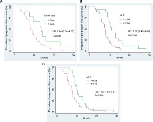 Figure 2 Progression-free survival of NSCLC patients according to the tumor size (A), the pretreatment levels of NLR (B), and MLR (C).