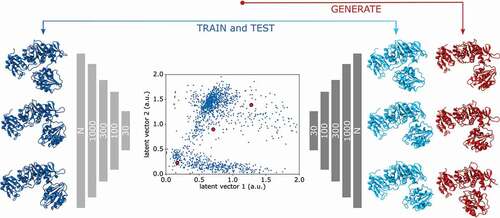 Figure 3. ANNs for Dimensionality Reduction. Autoencoder networks (shown in gray) are used for training a lower-dimensional representation of the simulation data by reconstructing sampled structures (deep blue) with decoded structures (light blue). A trained autoencoder can be used to generate a latent space representation of the data set (blue points), which can used to generate unseen latent space data (red points) to mine unsampled structures (red structures). Figure adapted from Degiacomi et al. [Citation62].