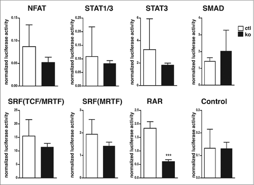 Figure 1. Decreased RAR reporter activity in RhoA-null keratinocytesCultured control (white bars) and RhoA-null keratinocytes (black bars) were transfected with luciferase reporters for the indicated transcription factors as described in “Materials and Methods.” Shown is the firefly luciferase activity of the reporters normalized to the renilla luciferase activity indicating transfection efficiency (n: 3-15/3-15; ***: p < 0,001).