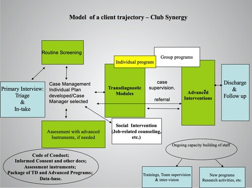 Figure 1. Club Synergy Pathway for YP.