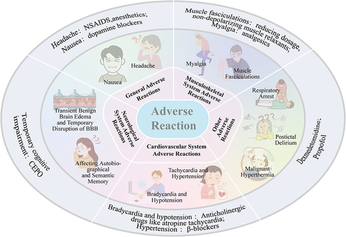 Figure 3 The adverse reactions of ECT. ECT may cause some adverse effects, such as headache, nausea, myalgia, autonomic nervous response. For each adverse reaction, corresponding prevention and treatment measures are provided.