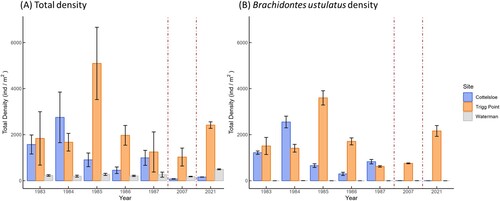 Figure 3. Total mean density of molluscs (3A) and the mussel Brachidontes ustulatus (3B) on three intertidal limestone platforms in the Perth metropolitan area from 1983 to 1987, and in 2007 and 2021.