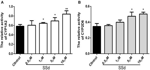 Figure 5 Effects of SsD on relative activity of CYP1A2 and CYP2D6 in HepaRG cells. Effect of SsD on relative activity of CYP1A2 (A) and CYP2D6 (B) in HepaRG cells treated with phenacetin (50 µM) and dextromethorphan hydrobromide (50 µM) for 12 hours after different concentrations of SsD (0.5, 1, 5, and 10 µM) had been incubated for 72 hours. Results presented as means ± SD (n=3). *p<0.05, **p<0.01 compared with blank control.