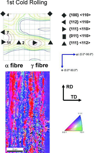 Figure 5 Texture change by the first 70% cold-rolling after hot extrusion [ϕ2 = 45° section of ODF (orientation distribution function)]