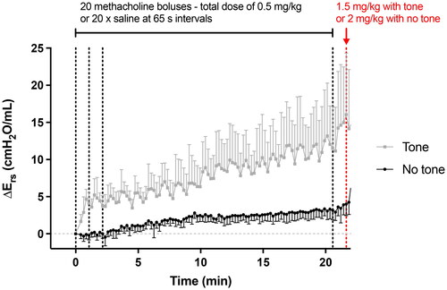 Figure 2. Tone (i.e., a sustained activation of the airway smooth muscle) induced by methacholine. Changes in respiratory system elastance relative to baseline (ΔErs) caused by 20 serial i.v. doses of saline (black) or methacholine (gray). Vertical black dotted lines, 65 s apart, indicate when doses were delivered. Only the first 3 doses and the 20th one prior to the final higher dose are indicated for clarity. The red vertical dotted line indicates when the higher final i.v. dose was delivered. These results are also shown in Figure 3 (first ∼20 min of the upper left graph), but on a different scale. Data are means + or - SD for a n = 6. The dosing regimen was identical in females, except that all doses were twice lower.