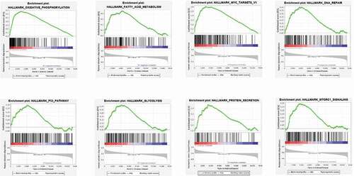 Figure 3. GSEA results of the RBM10 mutation in lung adenocarcinoma patients