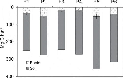 Figure 5. The soil C stocks and roots C density estimated at each point among soil depths up to 90 cm. Bars in roots data indicate standard deviation (n = 3)