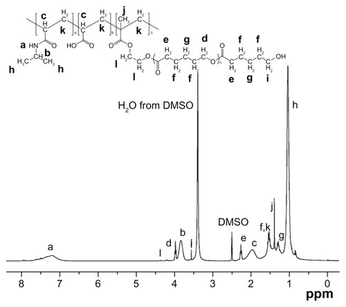Figure 2 Proton nuclear magnetic resonance spectrum of the NIPAAm/AAc/HEMAPCL (88:9:3) copolymer.Abbreviations: AAc, acrylic acid; DMSO, dimethyl sulfoxide; HEMAPCL, 2-hydroxylethyl methacrylate-poly(ɛ-caprolactone); NIPAAm, N-isopropylacrylamide.