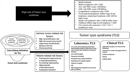 Figure 1. Risk factors and diagnosis of Tumor Lysis Syndrome.