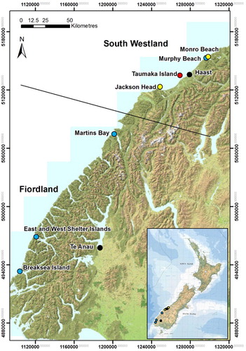 Figure 1. Location of the two sites that were used for both the mark–recapture study and nest/chick monitoring (yellow dots) and the five additional nest/chick monitoring sites (blue dots). The island of Taumaka (red dot), the towns of Haast and Te Anau (black dots) and the regions of South Westland and Fiordland (black line) are shown for geographic reference.