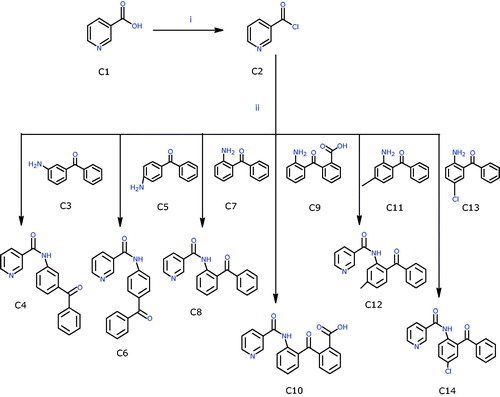 Scheme 1. Preparation of N-(benzoylphenyl)pyridine-3-carboxamide derivatives (C4, C6, C8, C10, C12, and C14). (i) SOCl2, dry benzene, refluxed at 70 °C for 48 h, distillation to get rid from excess SOCl2 and dry benzene, (ii) refluxed at 70 °C for 18 h, followed by the addition of 1,4-dioxane and stirring for 24 h.