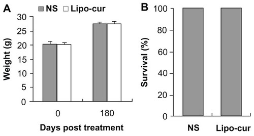 Figure 2 The effects of the treatment with Lipo-cur on body weight and life span. Normal C57BL/6J mice (7 weeks old, 20 mice per group) were treated intravenously with Lipo-cur (5 mg/kg), and NS was injected into each group through the tail vein. The injections were continued for 7 days, but mice were not challenged with tumor cells. Mice in each group were investigated for potential toxicity for 6 months. (A) There was no weight loss in the mice treated with Lipo-cur, compared with control groups (P > 0.05). The results are expressed as mean weight, and error bars represent ± standard error of the mean. (B) There was no decrease in life span in the mice treated with Lipo-cur, compared with the control groups (P > 0.05).Note: Data represent percentage of survival at day 180 after the treatment.Abbreviations: Lipo-cur, liposomal curcumin; NS, normal saline.