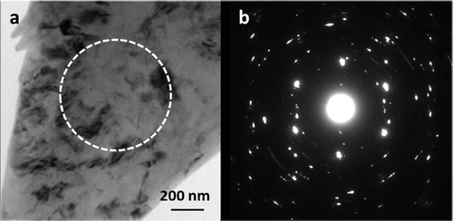 Figure 5. (a) Conventional TEM image recorded from a deformed region of N=1/4 HPT processed sample. (b) SADP acquired from corresponding region marked in (a), depicting multiple diffraction spots and arcs, which indicate the formation of low angle boundaries.