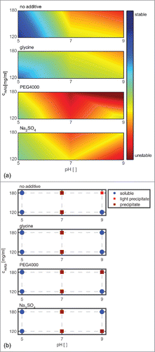 Figure 8. Scoring of analytical results is shown in relation to the long-term colloidal stability (a). The subplots from top to bottom show the predicted impact at pH 5, pH 7, and pH 9 with mAb concentrations of 120 and 180 mg/ml without additive in solution, with the addition of 150 mM glycine, 1.2 (m/V)% PEG4000, and 160 mM Na2SO4, respectively. The scoring of the phase behavior at t40 of similar samples is depicted on the right hand side for easier comparison (b).