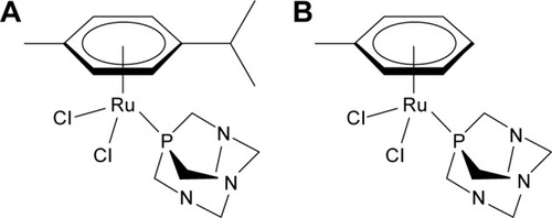 Figure 6 RAPTA-C (A) and RAPTA-T (B).
