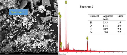 Figure 9. Representative SEM micrograph of sample C1 with EDX analysis.