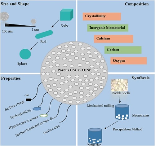 Figure 22 A schematic illustration of veteran cockle shell-derived calcium carbonate nanoparticles.Notes: Reproduced from Muhammad Mailafiya M, Abubakar K, Danmaigoro A, et al. Cockle Shell-Derived Calcium Carbonate (Aragonite) Nanoparticles: A Dynamite to Nanomedicine. Appl Sci. 2019 ;9(14):2897-2922.Citation334
