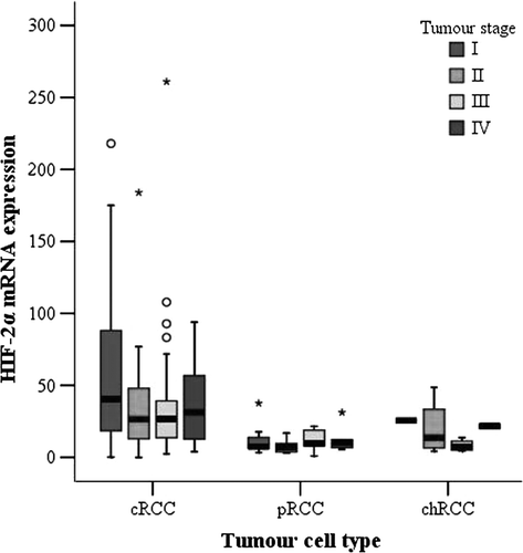 Figure 1.  Box-and-whisker plot of relative HIF-2α mRNA levels in relation to TNM stage in 168 cRCC, 23 pRCC, and 11 chRCC (cRCC: TNM I = 46, TNM II = 30, TNM III = 37, TNM IV = 55; pRCC: TNM I = 7, TNM II = 6, TNM III = 5, TNM IV = 5; chRCC: TNM I = 1, TNM II = 4, TNM III = 4, TNM IV = 2). Comparison of Hif-2α mRNA in TNM stage I versus TNM stage II-IV in cRCC (p = 0.01, Mann-Whitney test). Circles and asterisks represent outlying values, >1.5 and >3 box-lengths from the 75th percentile, respectively.