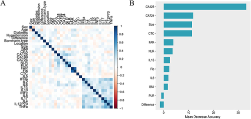 Figure 3 (A) Correlation between variables. (B) The random forest algorithm ranks the importance of meaningful variables in univariate analysis. The greater the Mean Decrease Accuracy of the variable, the greater the importance.